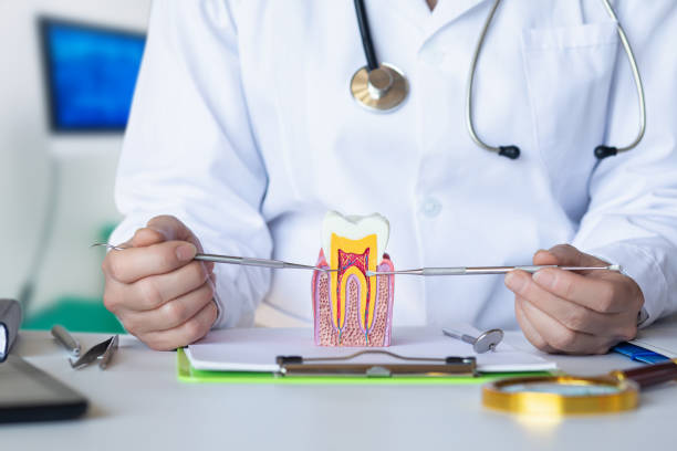 Best Emergency Dental Filling Replacement  in Williamsburg, KY
